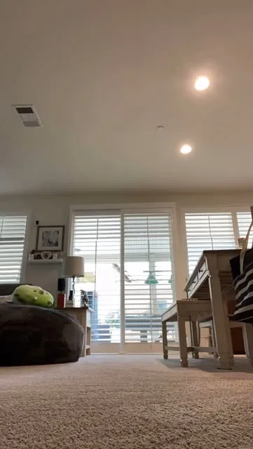 A carpeted living room with white plantation shutters, a desk, and a beanbag